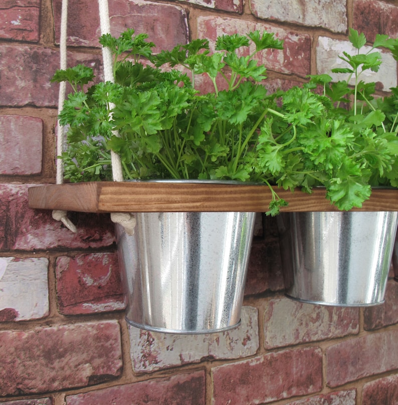 HANGING SHELF and POTS Kitchen Herb Garden Windowsill Herb Etsy UK
