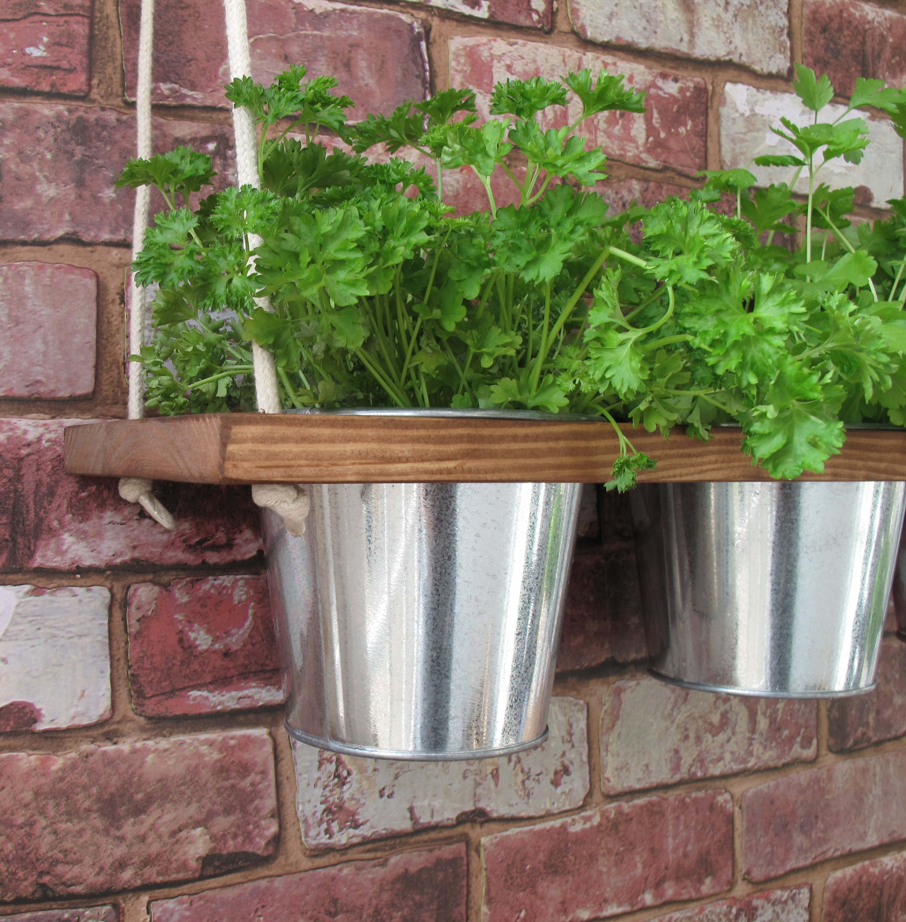 Hanging Shelf Kitchen Herb Garden Windowsill Garden Indoor Etsy