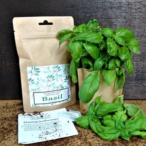Grow Your Own BASIL, Grow Kit,  Secret Santa, Stocking Stuffers, Party Bags