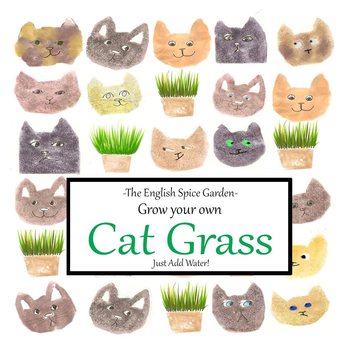 Cat Grass Cat Treats for Indoor and Outdoor Cats Grow Kit Etsy