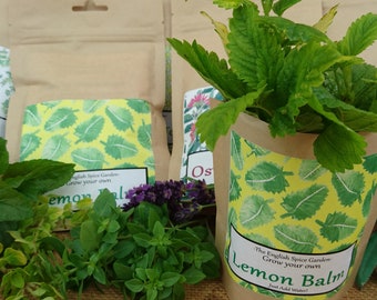 Grow Your Own Lemon Balm, Grow Kit,  Herbs and Spices, Gardening, Stocking Stuffers, Party Bags