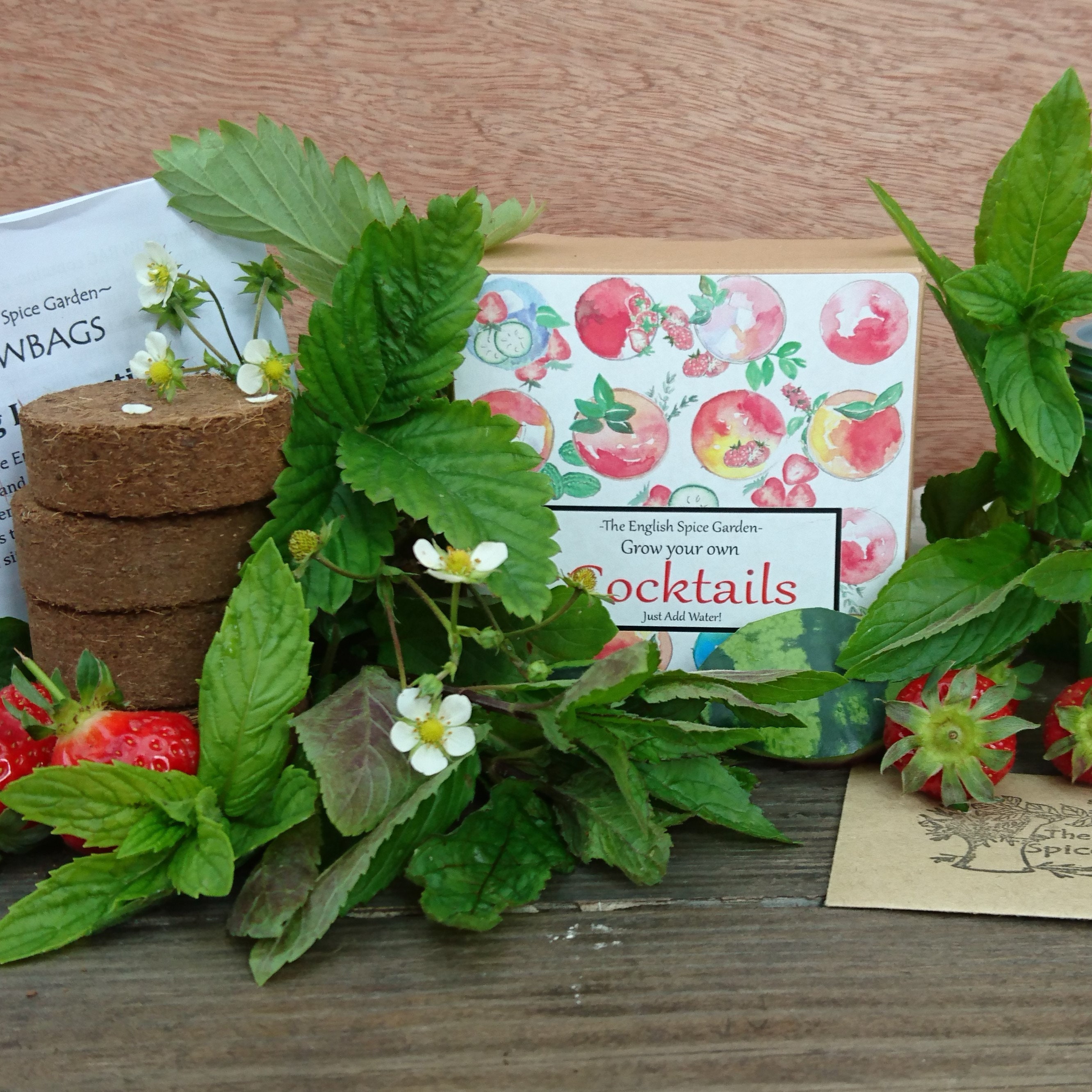 Grow Your Own Cocktails Kit Cocktail Garden Cocktail Etsy UK