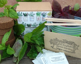 Grow Your Own Gourmet Mint Selection,Grow Kit, Herbs and Spices, Gardening, Mint Garden, Mint Tea