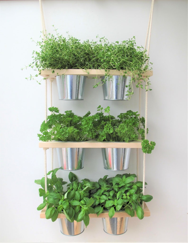 Hanging Plant Shelf Kitchen Herb Garden Windowsill Herb And Etsy