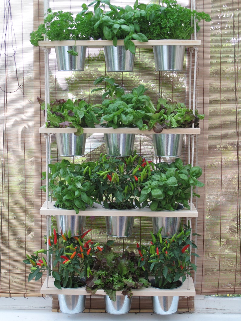 HANGING SHELF and POTS Kitchen Herb Garden Windowsill Etsy UK