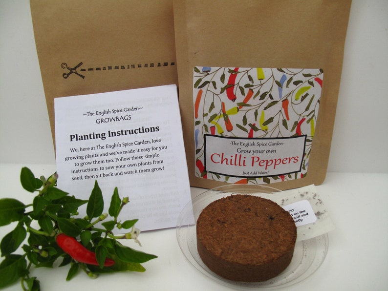 Chilli Plant Grow Kit, Year Round Indoors Anytime, Party Bags Bild 5