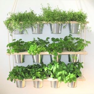 HANGING SHELF and POTS,Kitchen Herb Garden,Indoor Planter, House Plant,Kitchen Shelves,Hanging Shelves,Bathroom, Bedroom, Rope and Wood