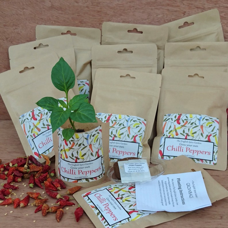 Chilli Plant Grow Kit, Year Round Indoors Anytime, Party Bags image 6