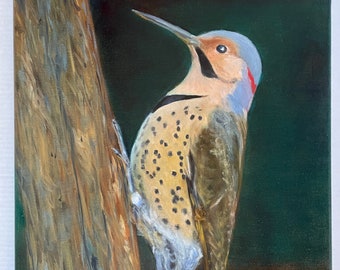 Northern Flicker Woodpecker Bird on Tree Trunk Oil Painting on 16 x 20 Canvas