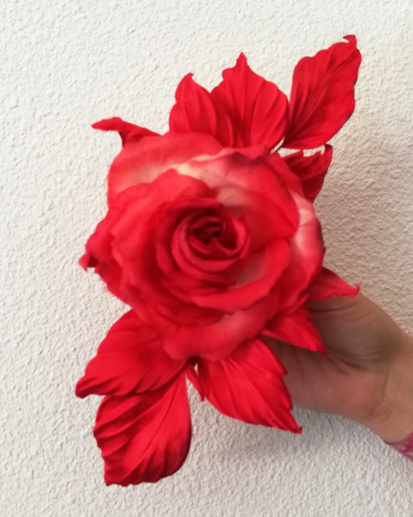 Coral Silk Rose / Red Flowers Silk Brooch / Women Brooch Gift Etsy