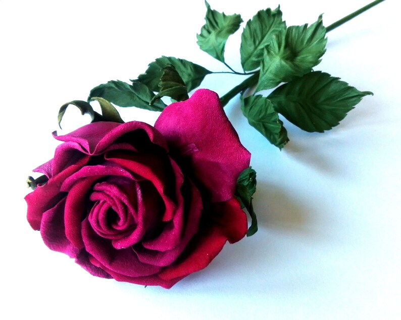 Single Flower In Vase Long Stem Fuchsia Rose Fuchsia Etsy