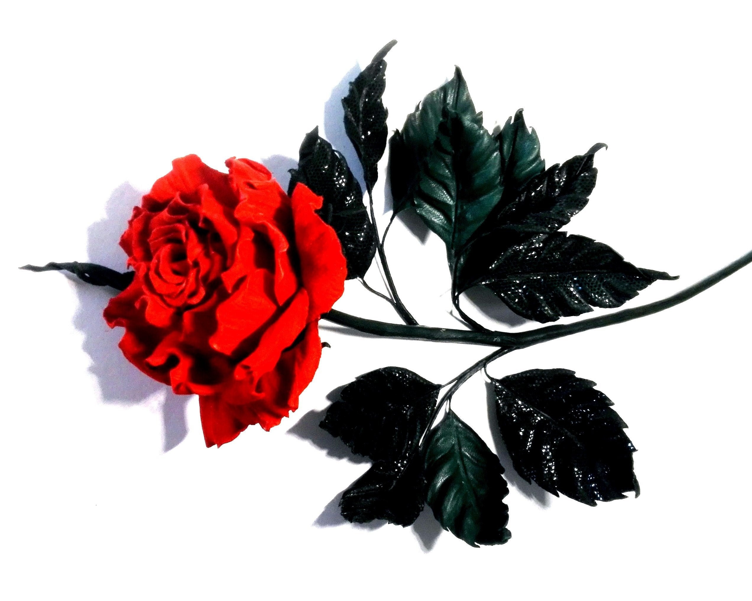 Rose Rouge Valentin'es Jour/ Fleur Intérieure/ Longue Tige Rose