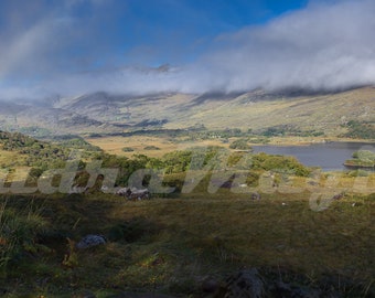 Valley, Mountains, Killarney - digital print Panorama, high quality