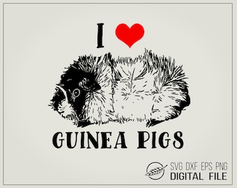 Guinea pig 1 digital download svg dxf eps png cut file for cutting machines pet cavia I love guinea pigs pet store bristly guinea pig