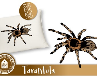 Tarantula SVG file, cutting file, spider