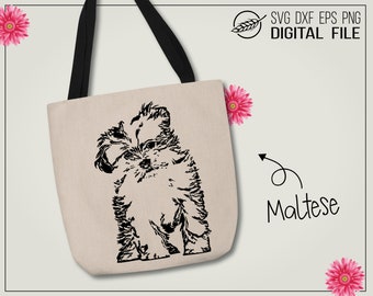 Maltese, dog, SVG cut file