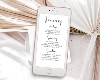 Reunion Itinerary Etsy