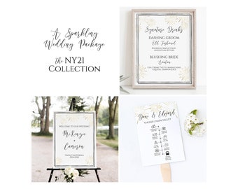Wedding Template Bundle,  Gold and Silver Theme Package, Invitation Suite, Welcome Sign, Menu, Program, Seating Cards, Favor Tag PPW-NY21