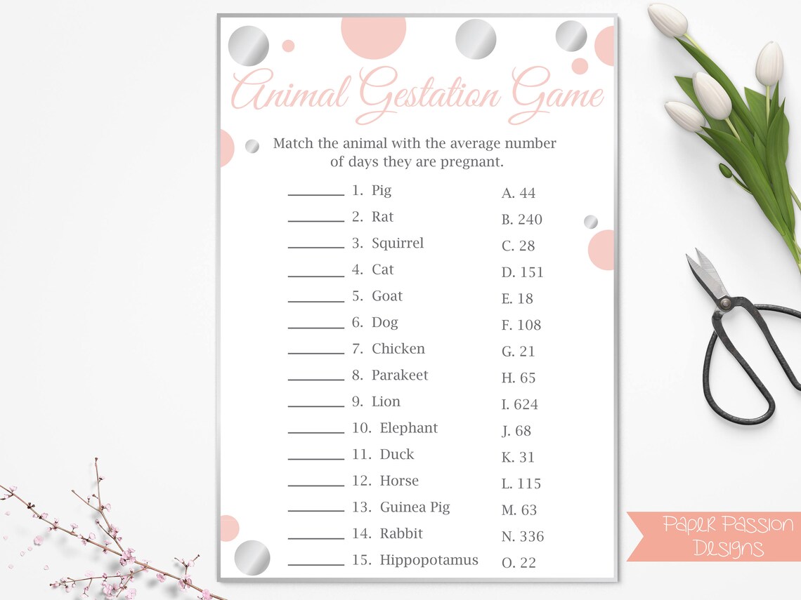 How Sweet It is Pregnancy Game Pink and Silver Baby Shower Etsy
