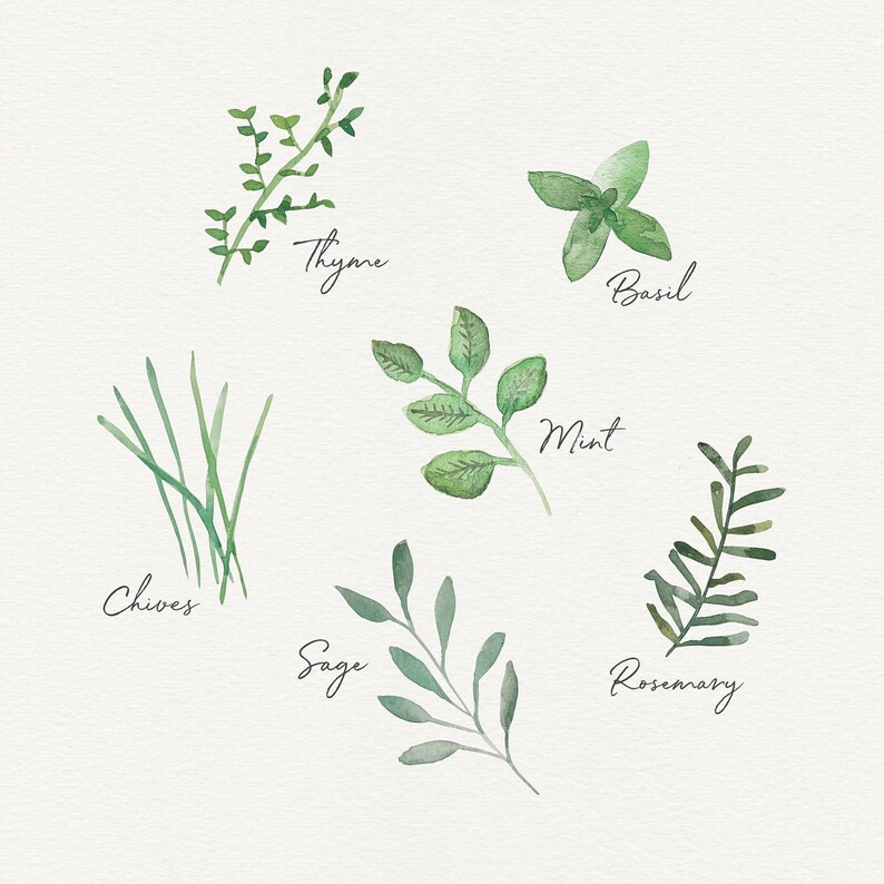 Herbs Wall Art, Herbal Print, Kitchen Decor, Watercolor Herbs, Home