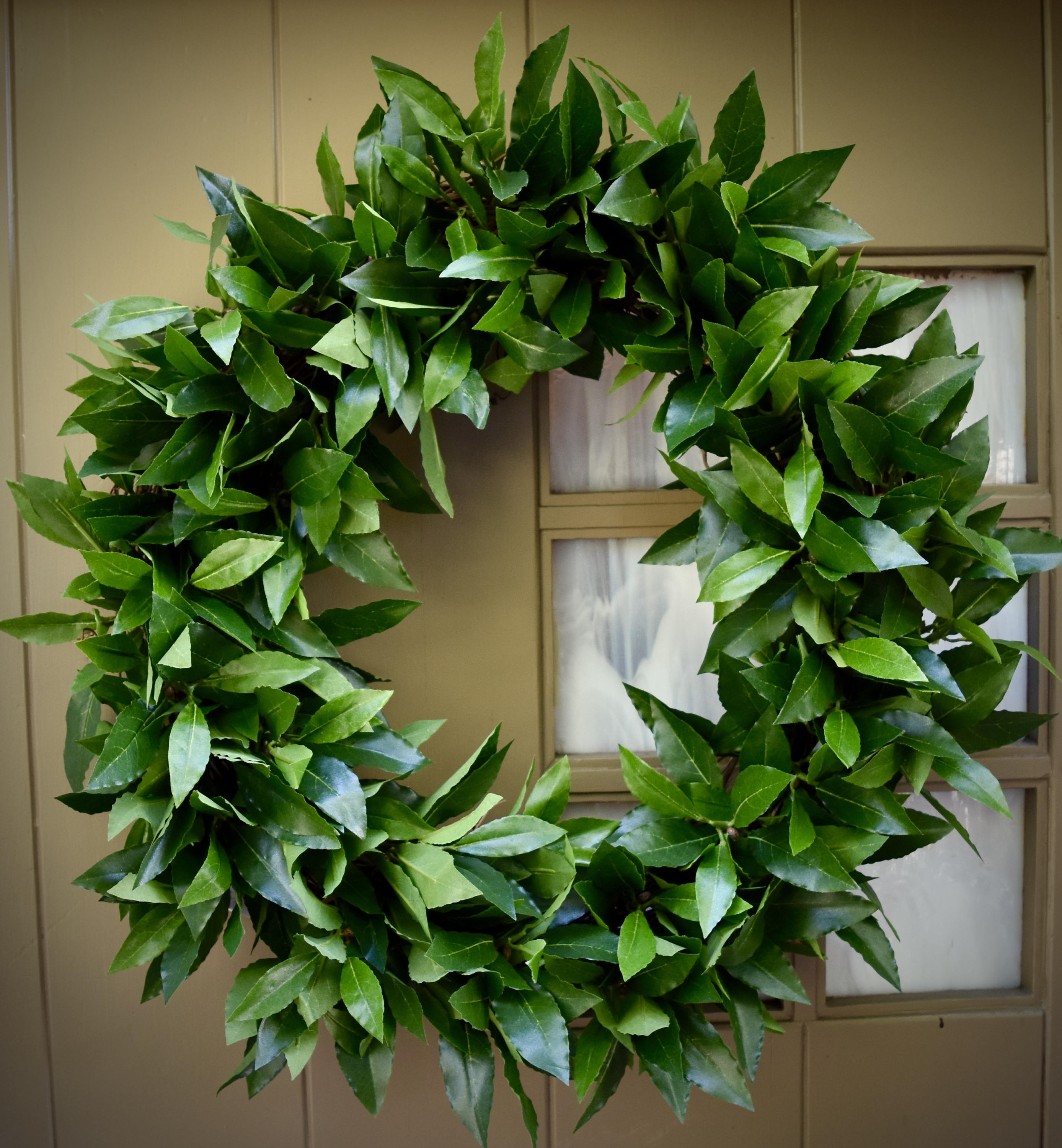 Bay Leaf Wreath Green Wreath Spring Wreath Summer Wreath Etsy