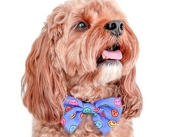 blue smiles - dog bow tie