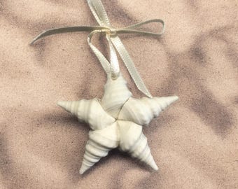 Margaret Furlong Set of 2 Shell Star Ornaments Catch a Falling Star Pocket Full Of Stars Porcelain Bisque Christmas Ornaments 2&quot; X 2&quot;