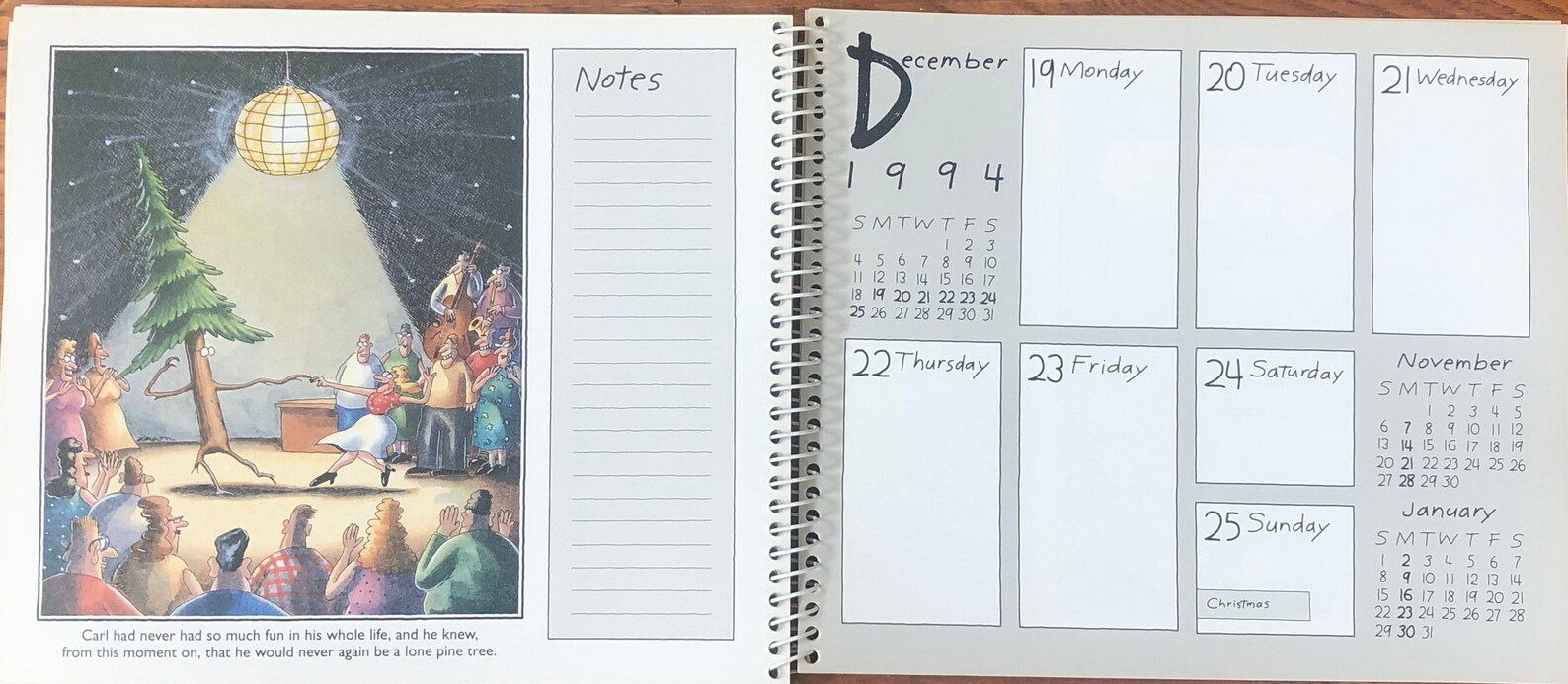 Vintage 1994 the Far Side Desk Calendar Gary Larson Colored Etsy