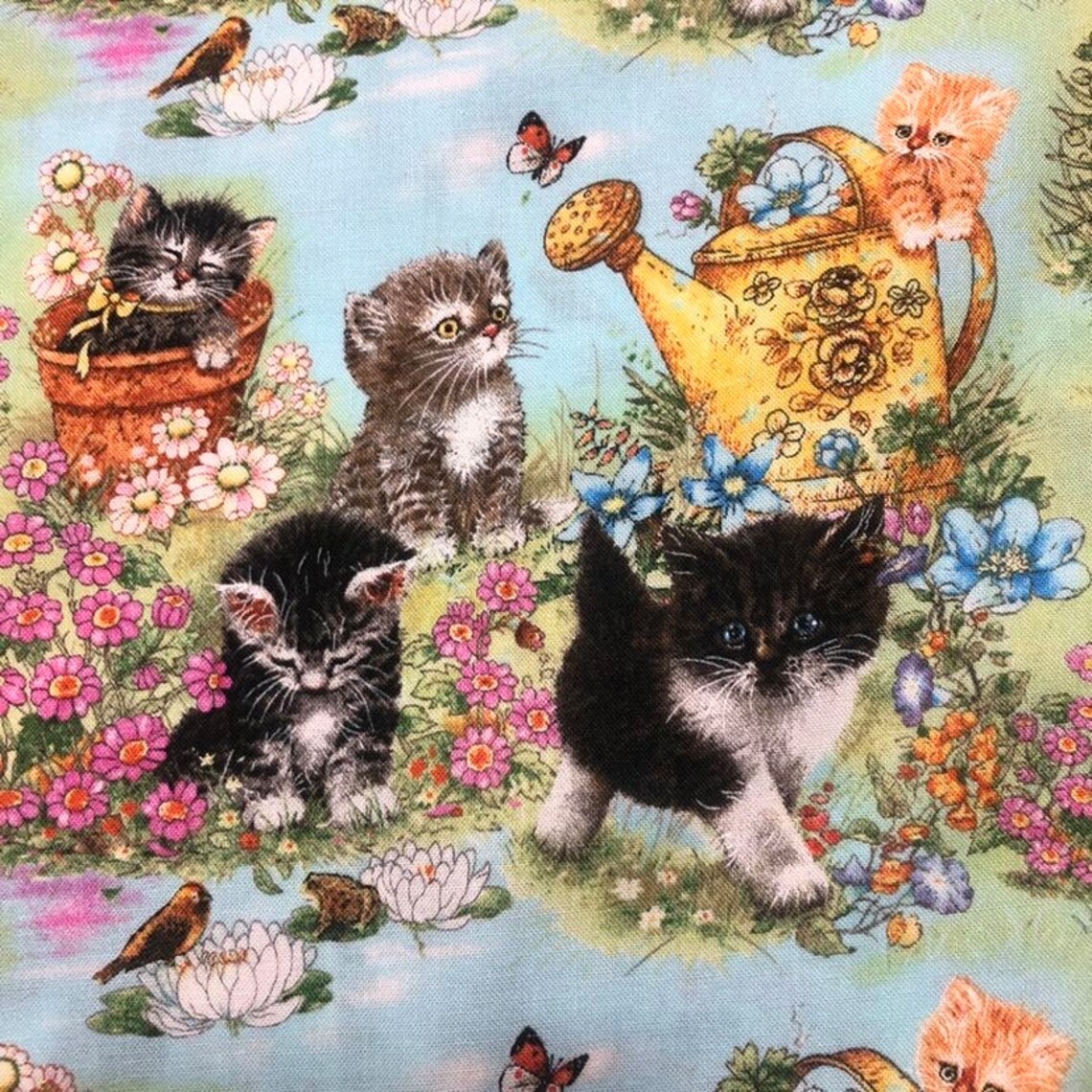 Kitty's Garden Robert Kaufman Cotton Fabric Kittens Etsy