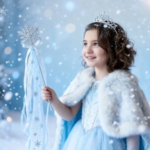 May include: A light blue dress with a white faux fur cape, a silver tiara, and a snowflake wand featuring long ribbons. The ensemble is designed with intricate detailing, including a bodice with silver accents and a flowing skirt, creating a winter-themed look.