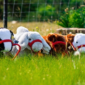 Livestock Lovies Plush Cattle - Pick your breed