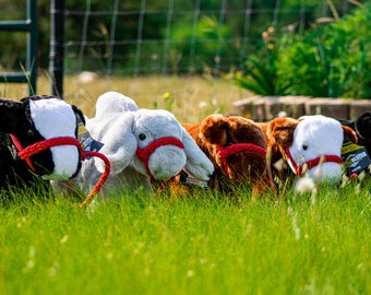 Livestock Lovies Plush Cattle - Pick your breed