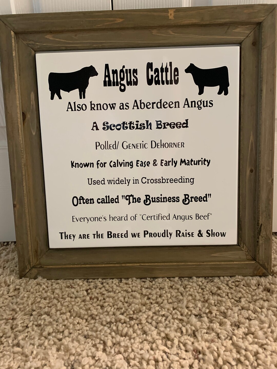 Angus Sign Angus Cattle Sign - Etsy