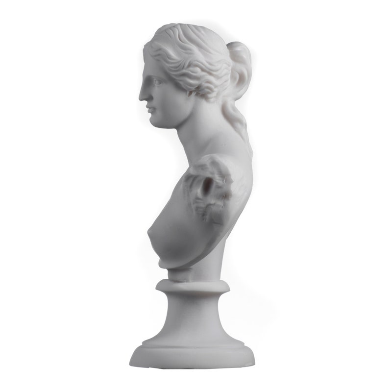 May include: White plaster bust sculpture of a woman with her hair pulled back. The bust is on a white pedestal.