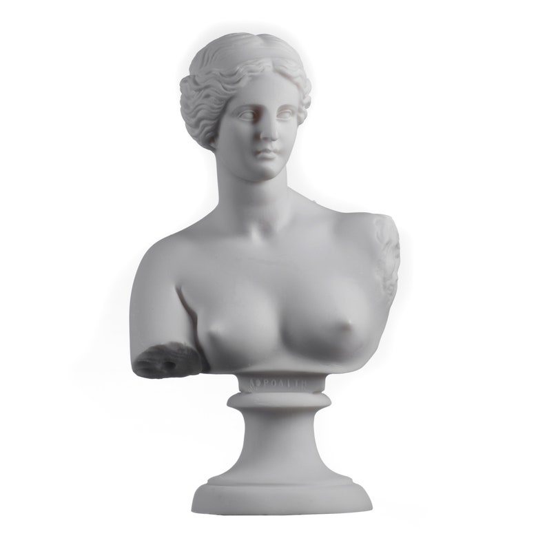 May include: White marble bust sculpture of a woman with a detailed hairstyle. The sculpture is on a white pedestal.
