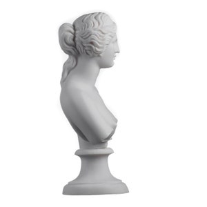 May include: White plaster bust of a woman with a detailed hairstyle. The bust is on a white pedestal.
