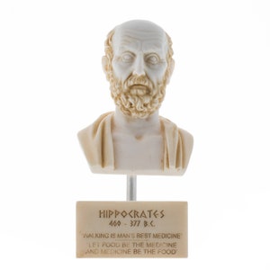 Hippocrates of kos father of medicine alabaster bust statue marble base