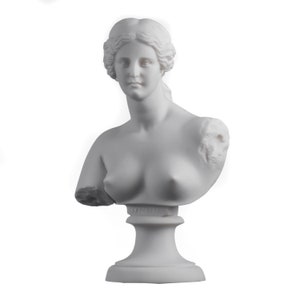 May include: White marble bust sculpture of a woman with a detailed hairstyle. The bust is on a white pedestal.