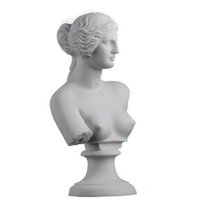 May include: White marble bust sculpture of a woman with a detailed hairstyle. The sculpture is on a white pedestal.