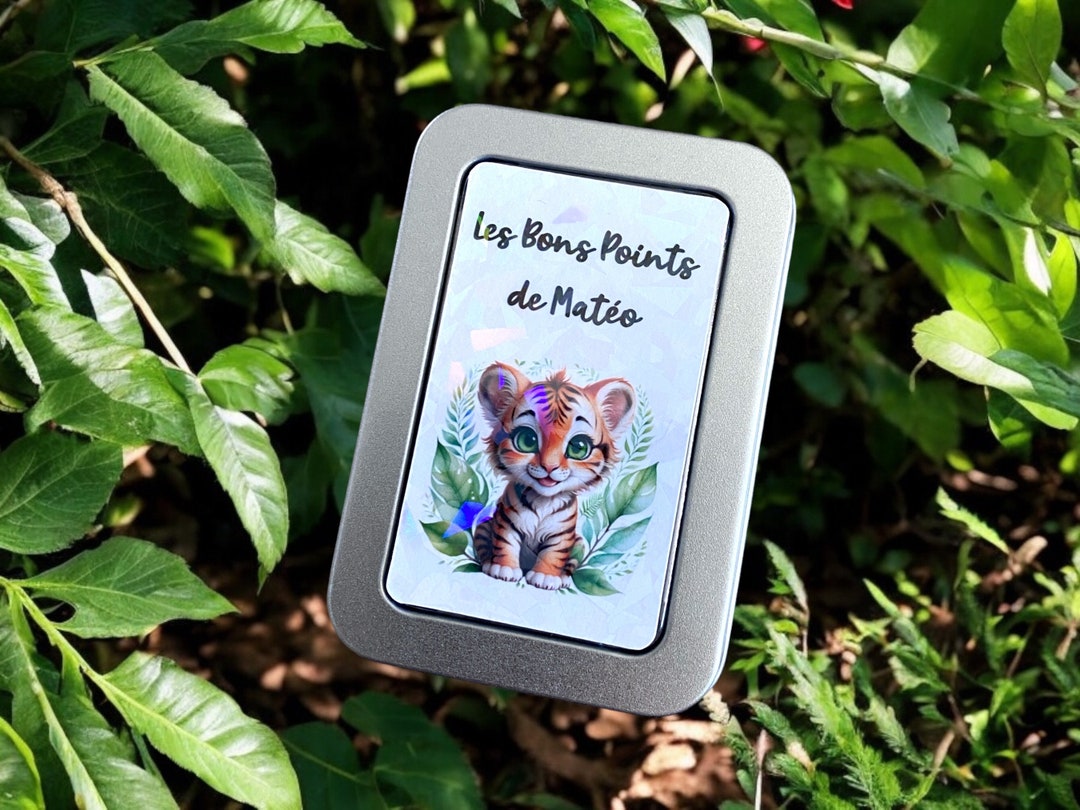 Boîte à Bons Points Personnalisée Mathéo – Métallique, Idéale Pour Motiver Les Enfants à Lire Et Compter !