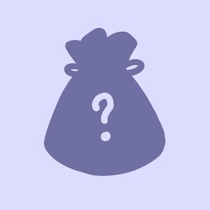 Mystery surprise bag