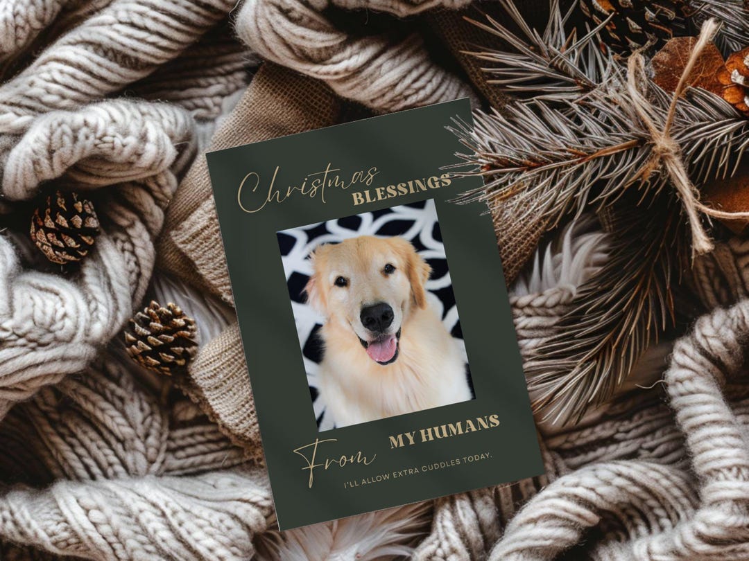 Dog Christmas Card Template, Funny Holiday Photo Card, Family With Pets