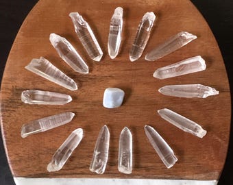 15 Baby Lemurian Quartz Points: Crystal Grid Set