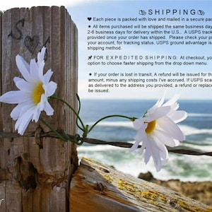 Shipping Policy: Free shipping with $35 purchase.