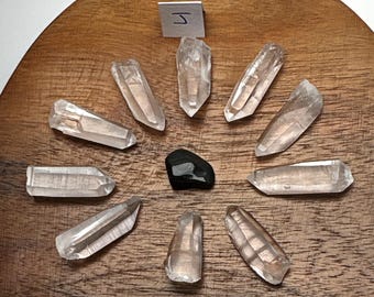 10 Lemurian Seed Quartz Crystals | Tabby & Hexagonal points