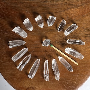 15 Baby Lemurian Quartz Points: Crystal Grid Set
