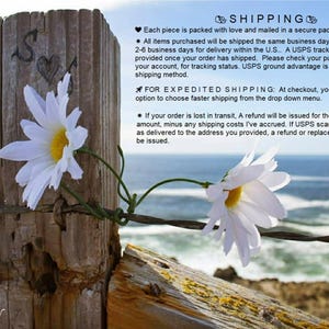 Shipping policy