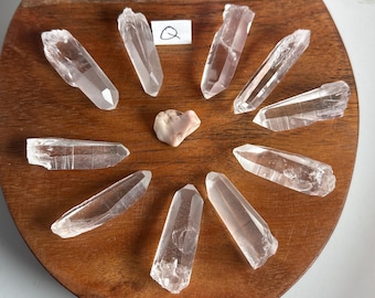 10 Lemurian Seed Quartz Crystals | Tabby & Hexagonal points