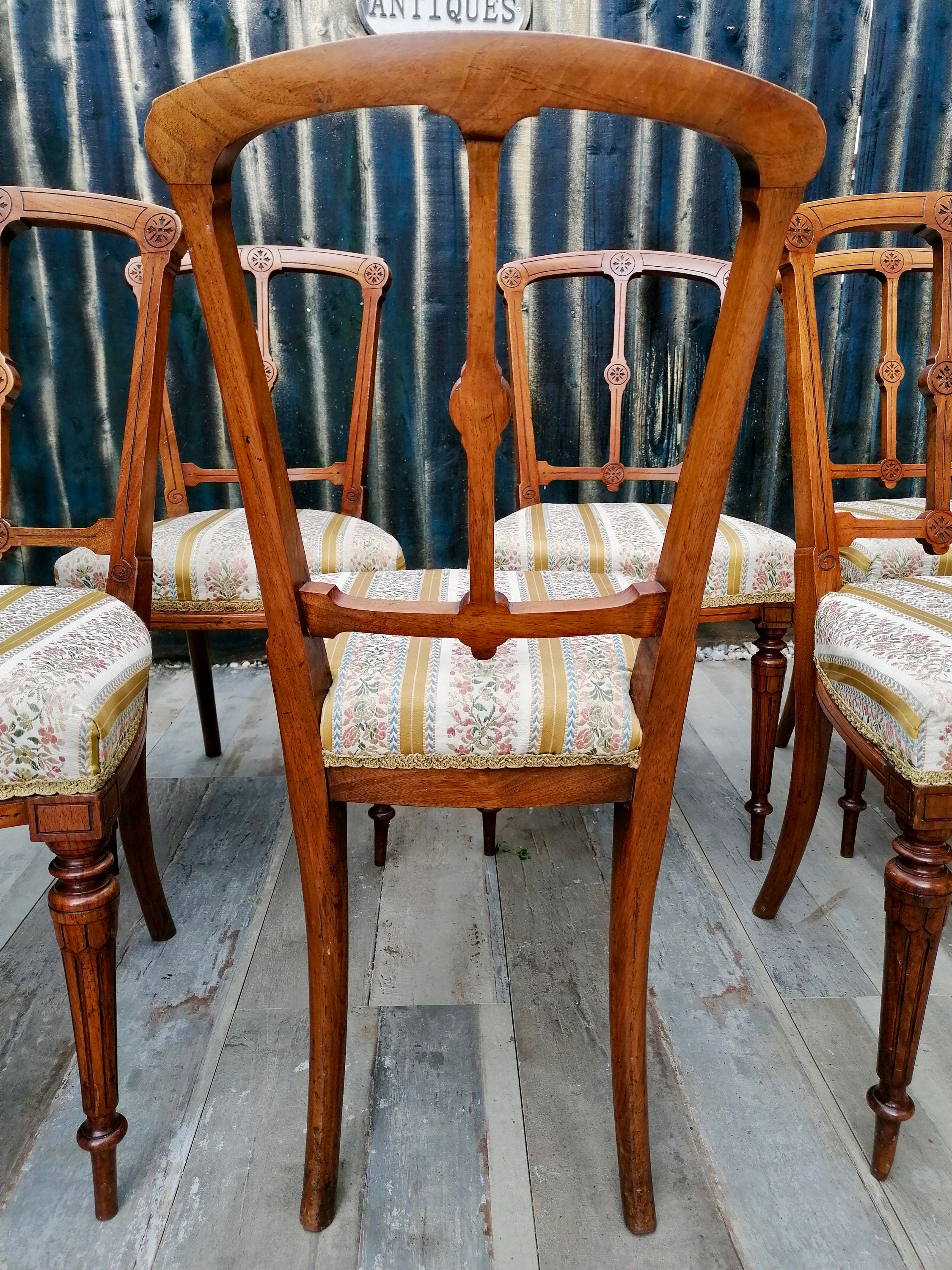 Stunning set of Six Antique Walnut Dining Chairs Etsy