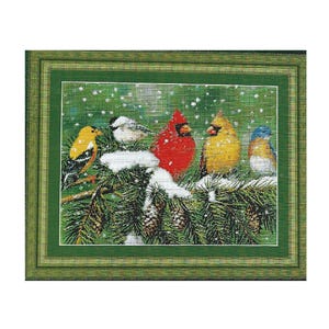Backyard Birds Cross Stitch Kit: Kustom Krafts 14ct Aida, Full Coverage
